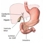 Dieta para la vesícula.